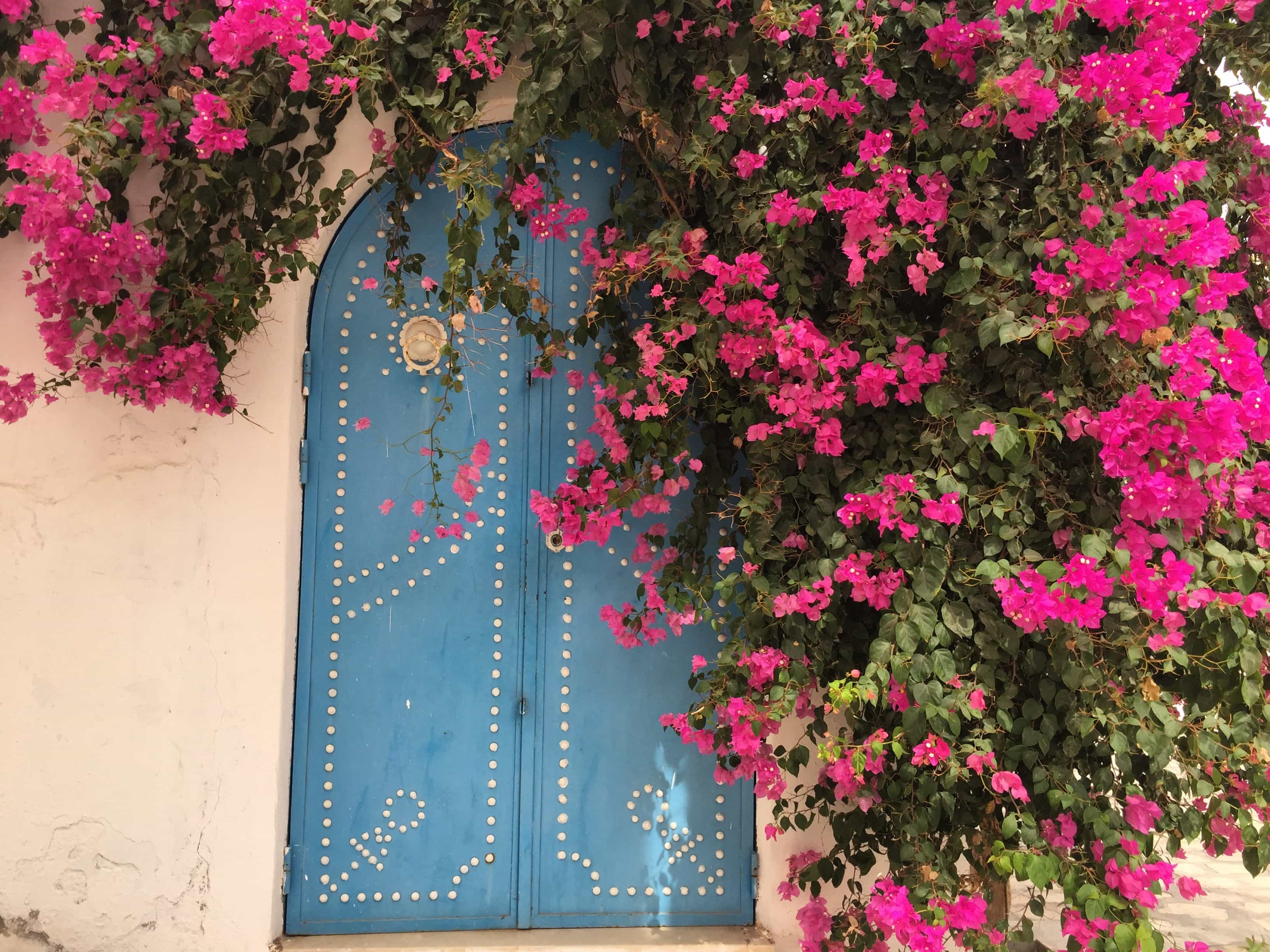 Tunisia — Djerba Street Scene Flowers