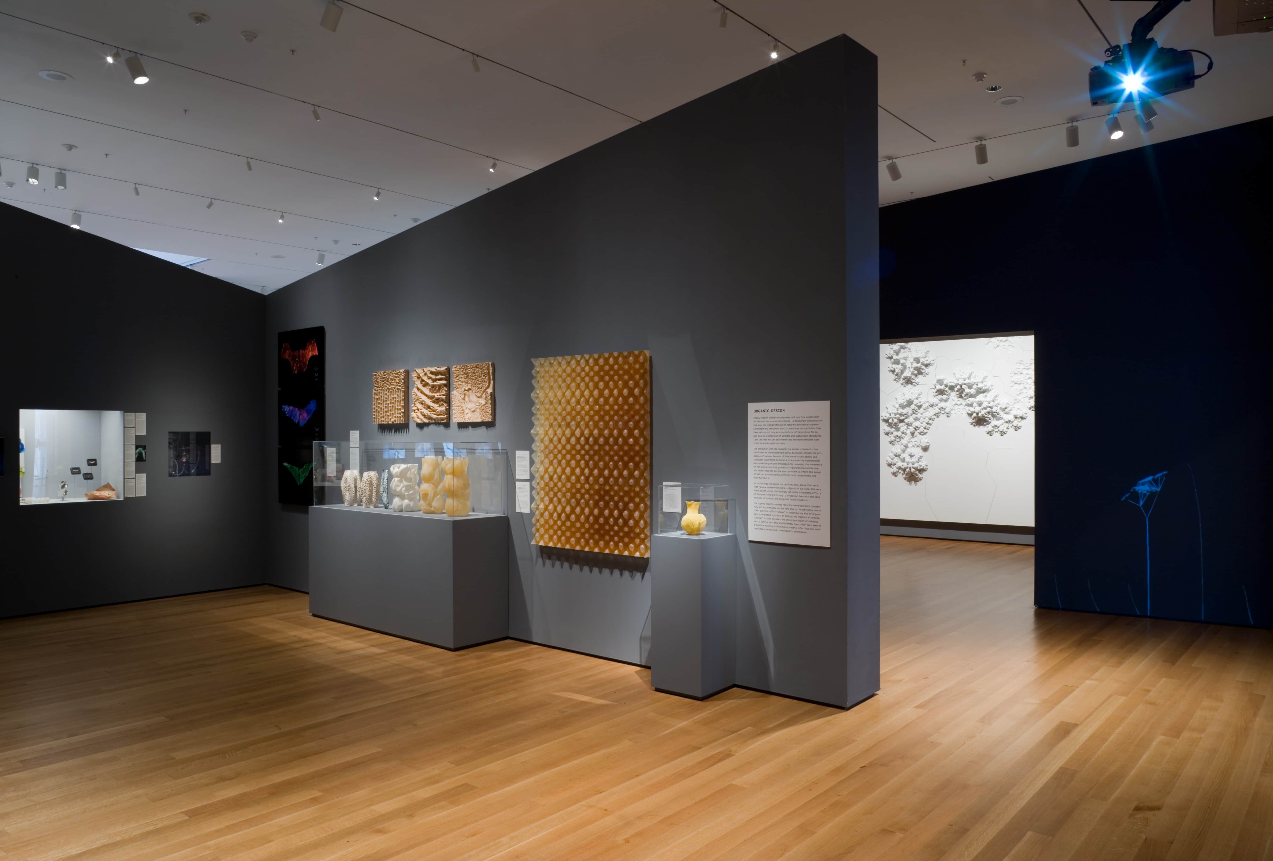 Installation view of the exhibition Design and the Elastic Mind