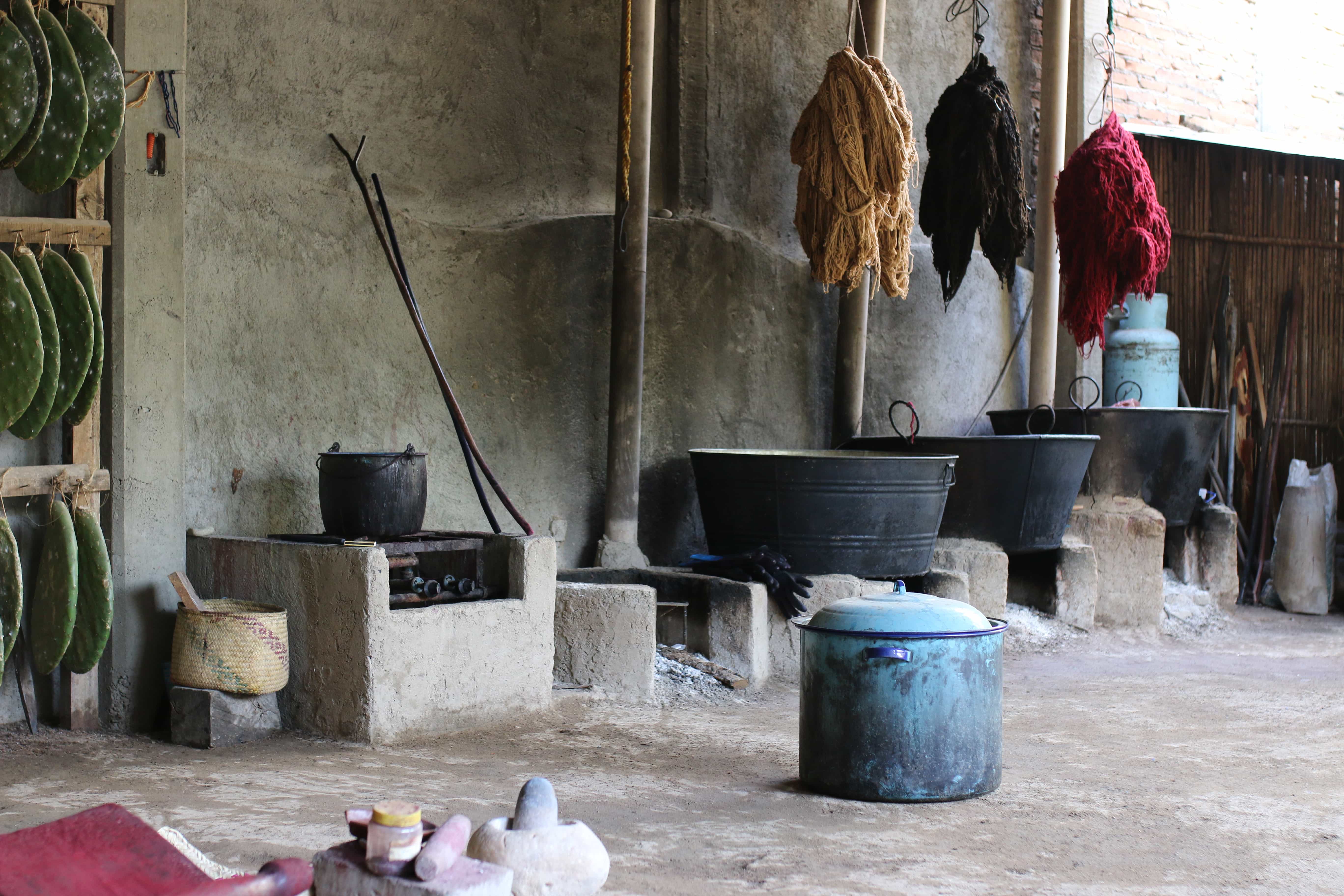 Natural Dye Oaxaca Craft Workshop, Mexico