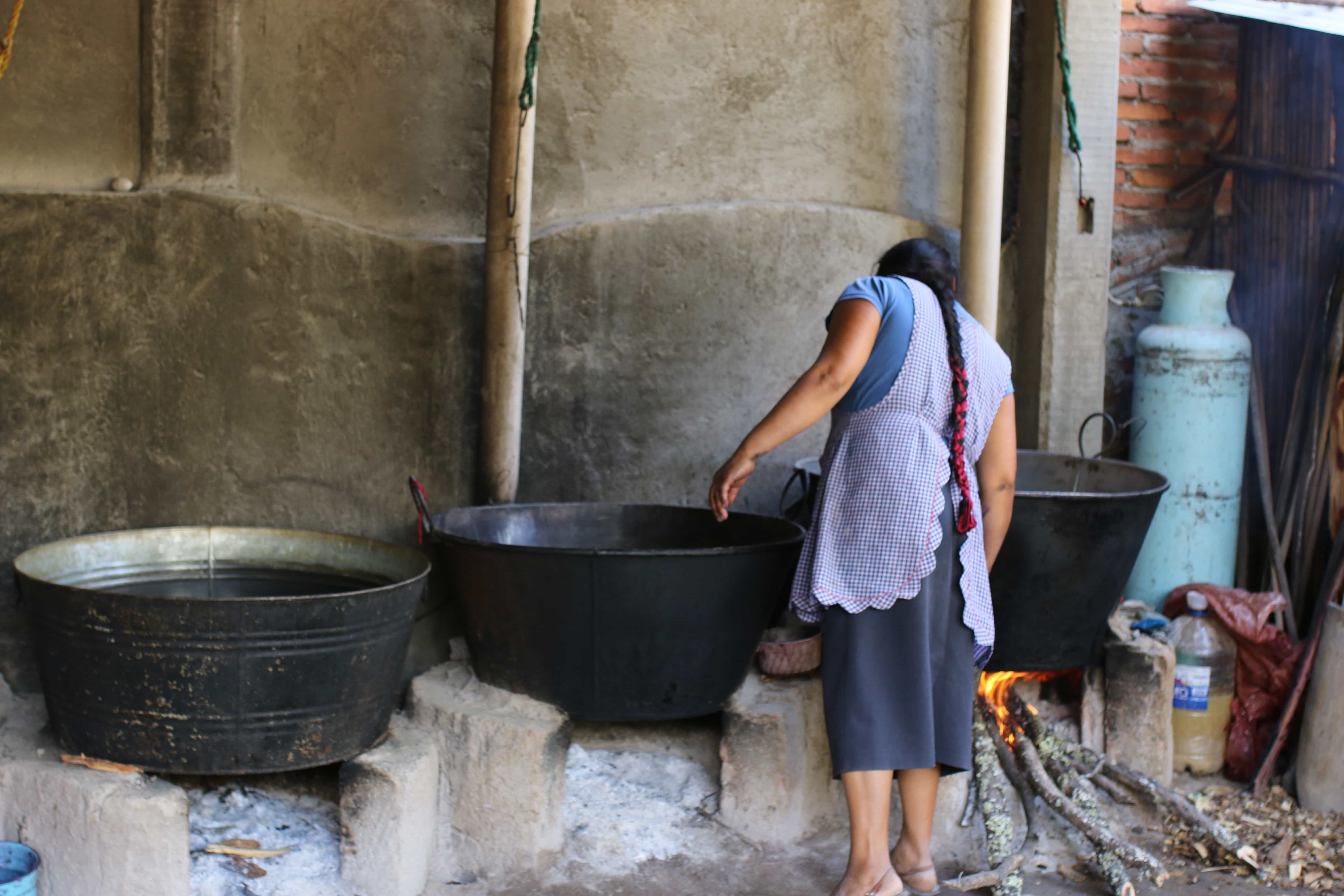 Natural Dye Oaxaca Craft Workshop, Mexico