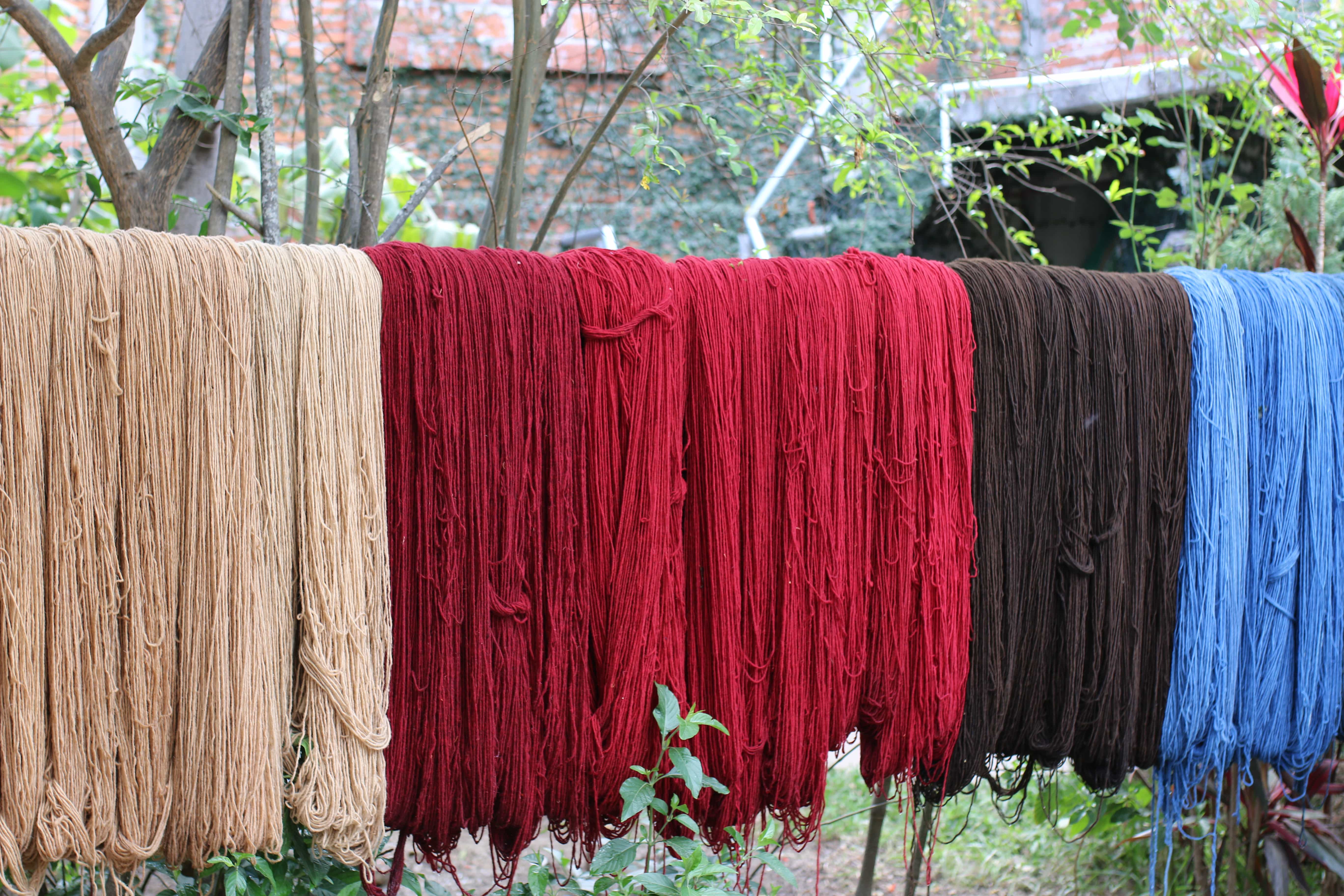 Natural Dye Oaxaca Craft Workshop, Mexico