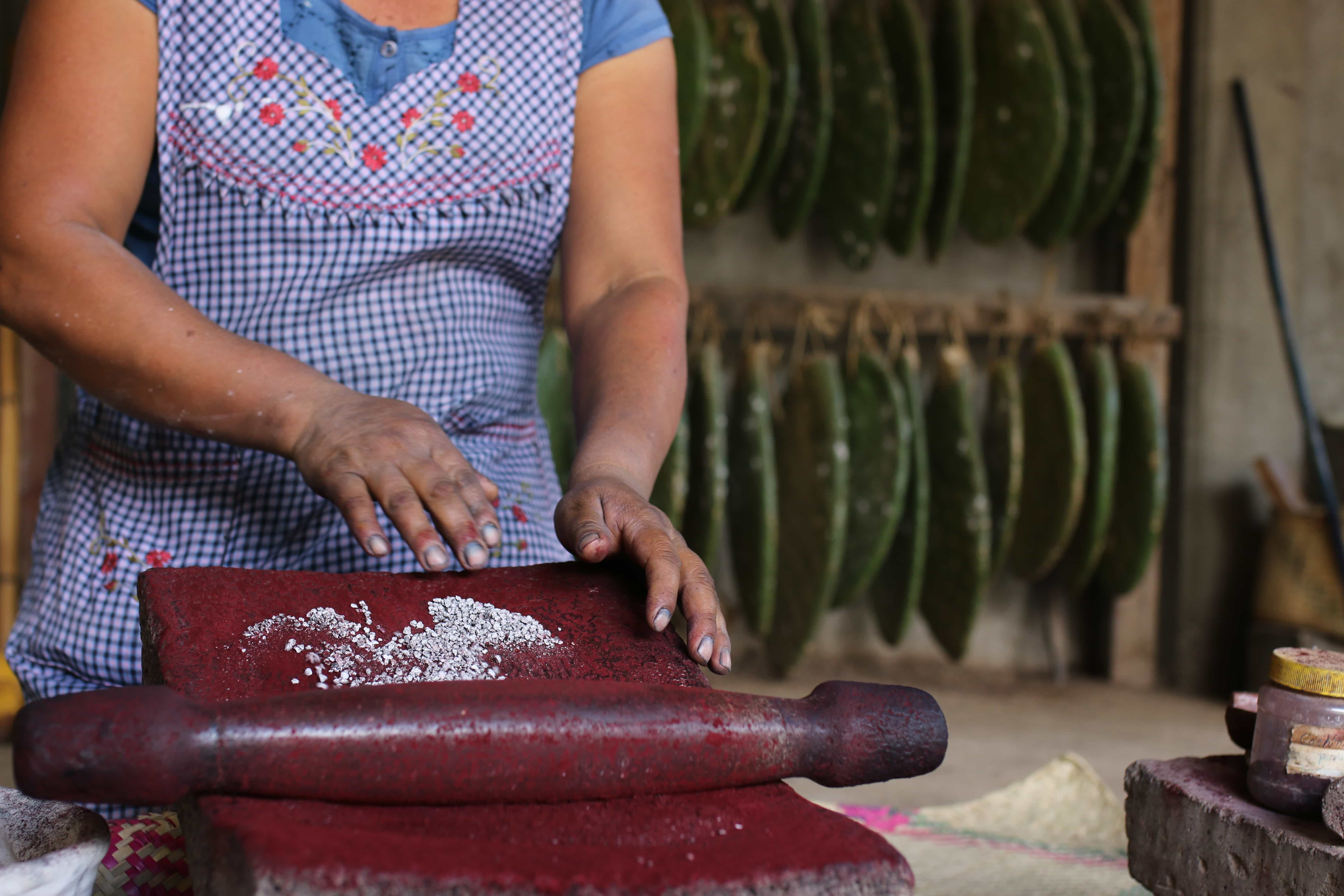 Natural Dye Oaxaca Craft Workshop, Mexico