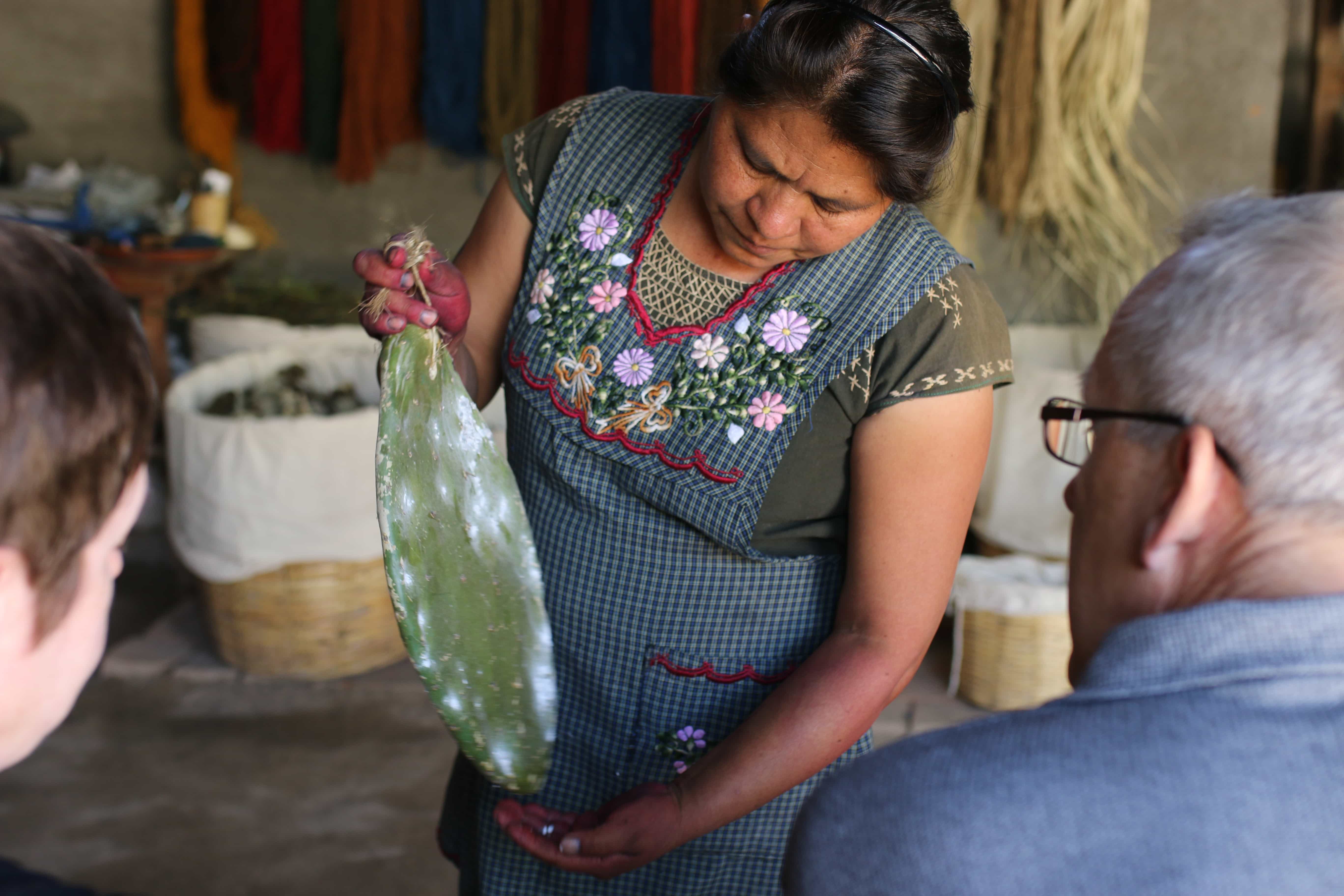 Natural Dye Oaxaca Craft Workshop, Mexico