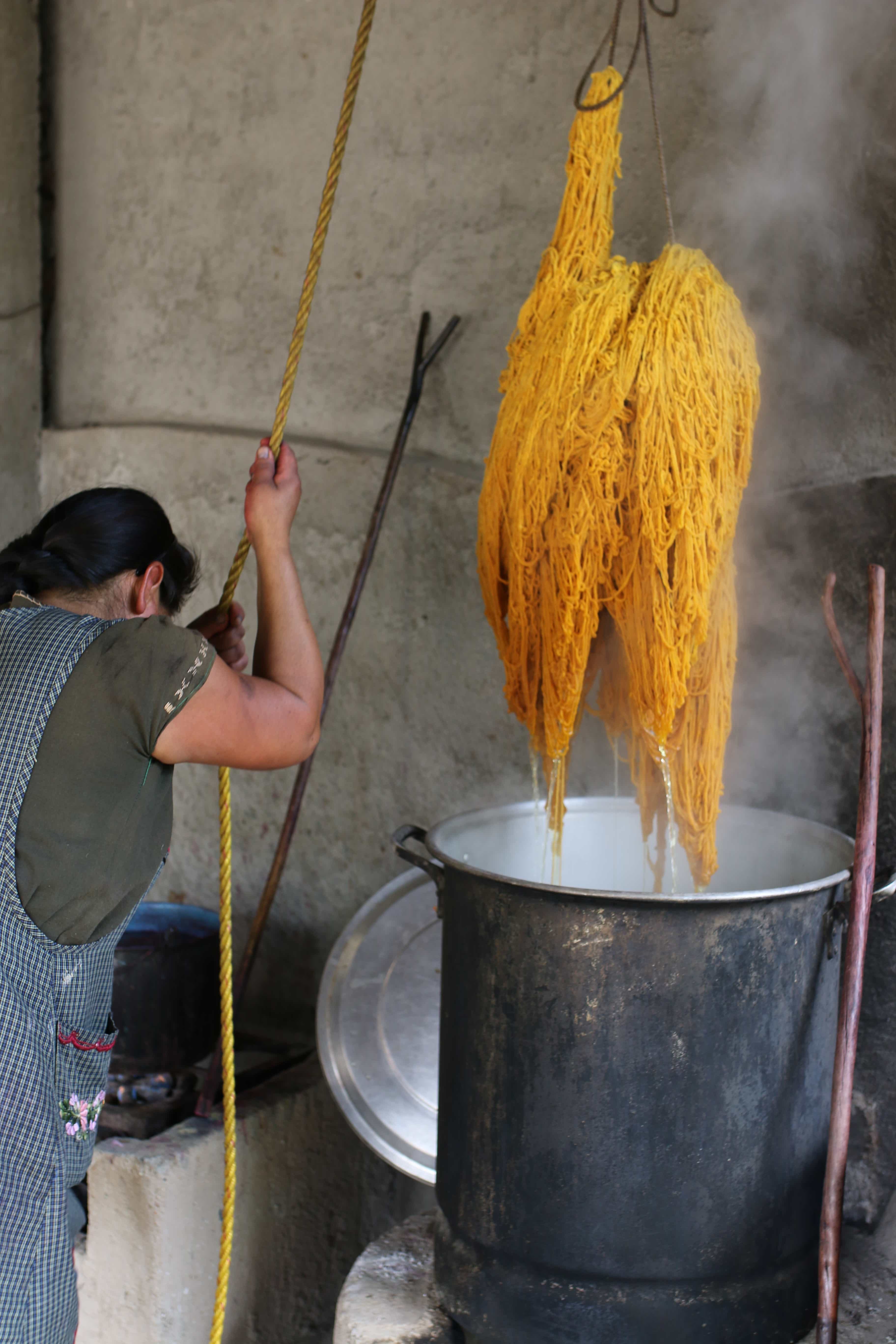 Natural Dye Oaxaca Craft Workshop, Mexico