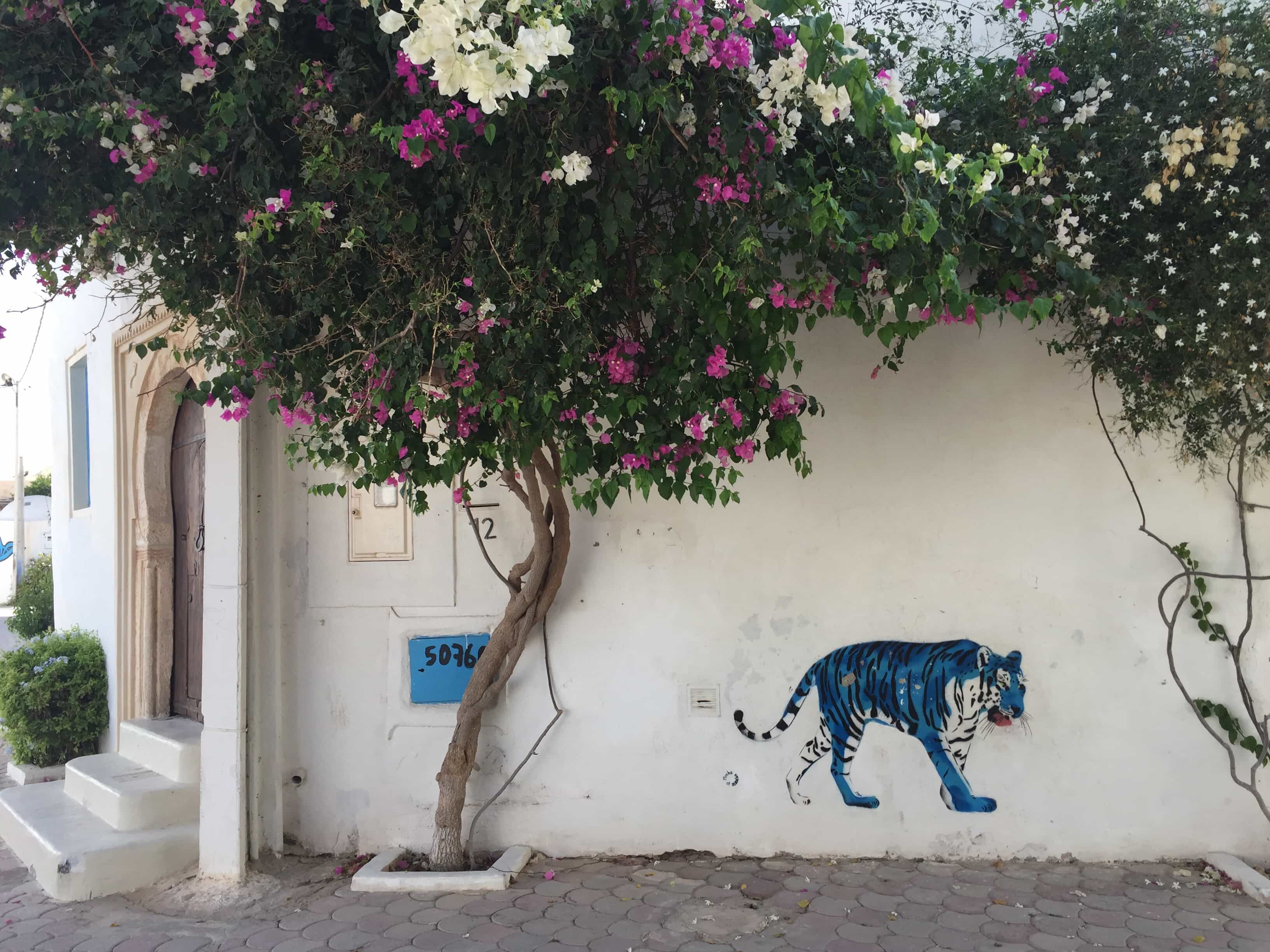 Tunisia — Djerba Street Scene — Street Art