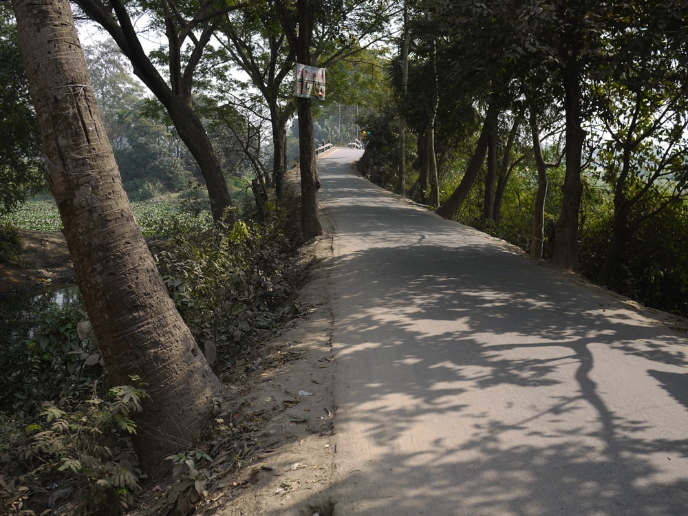 Tree-lined road in Demra-Narayanganj– Handmade Textiles of Bangladesh