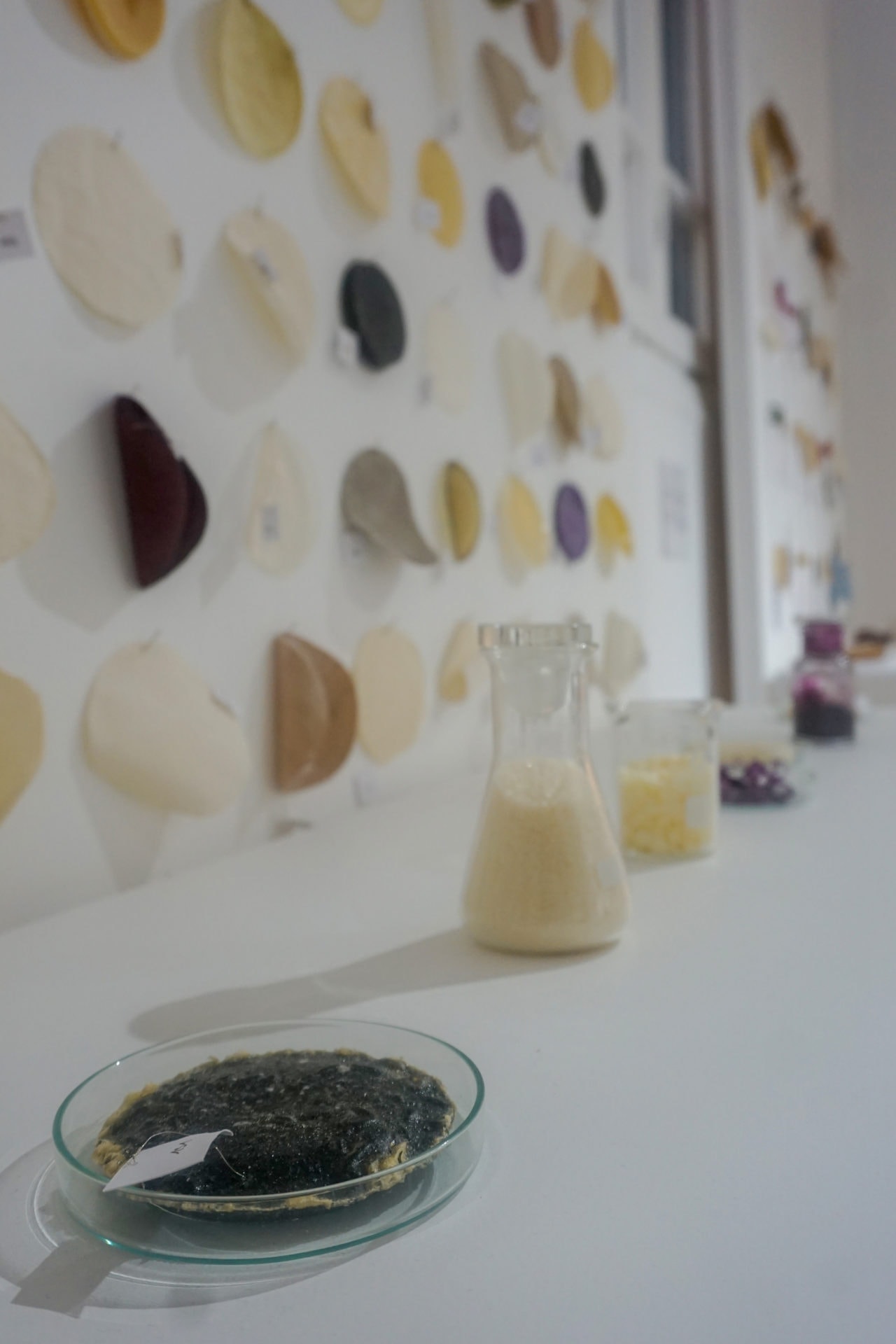 Textile Innovation Lab (Photo: Laura Lin)